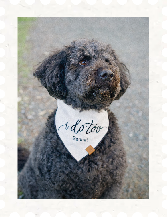 Postage stamp with our dog Bennet wearing an 'I do too' bandana