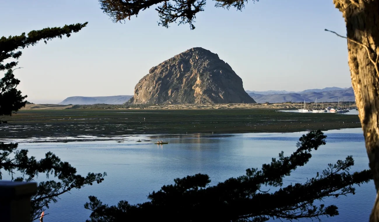 Morro Rock rising over the bay, framed by pines, on California's Central Coast